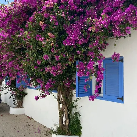 Holiday home Cruz *